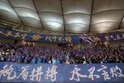 开云APP-江苏苏宁阵中进攻火力不逊：能否引领球队冲劲劲奋？的简单介绍