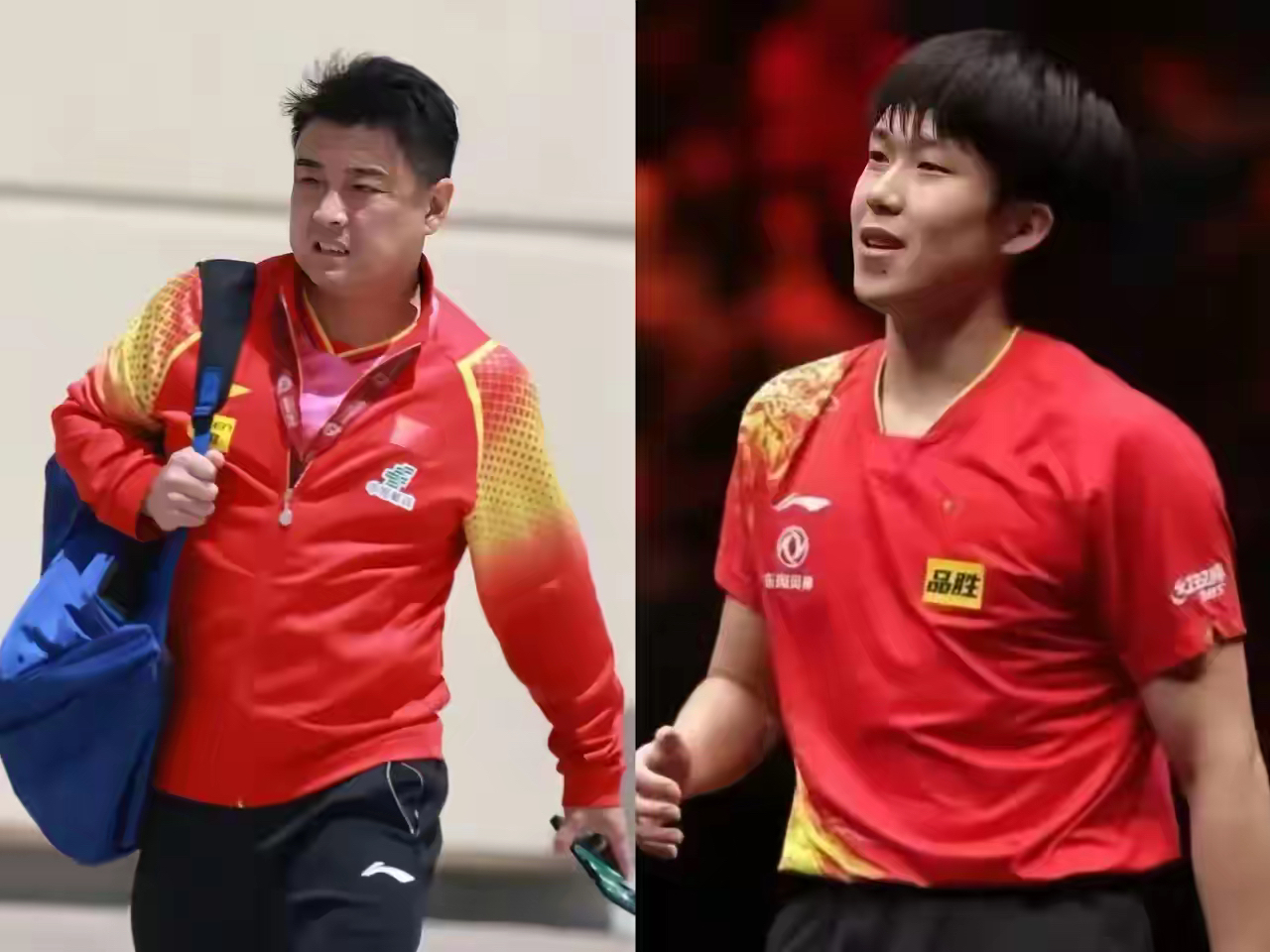 法国乒乓球队血洗德国乒乓球队，王皓关键制胜的简单介绍