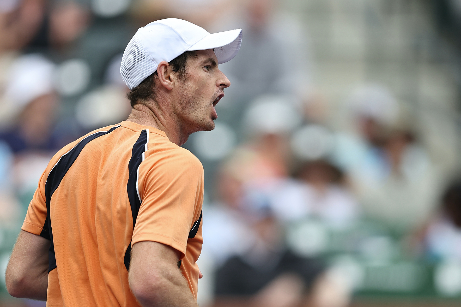 欧洲网球队强势世界网球队，穆雷统治全场的简单介绍