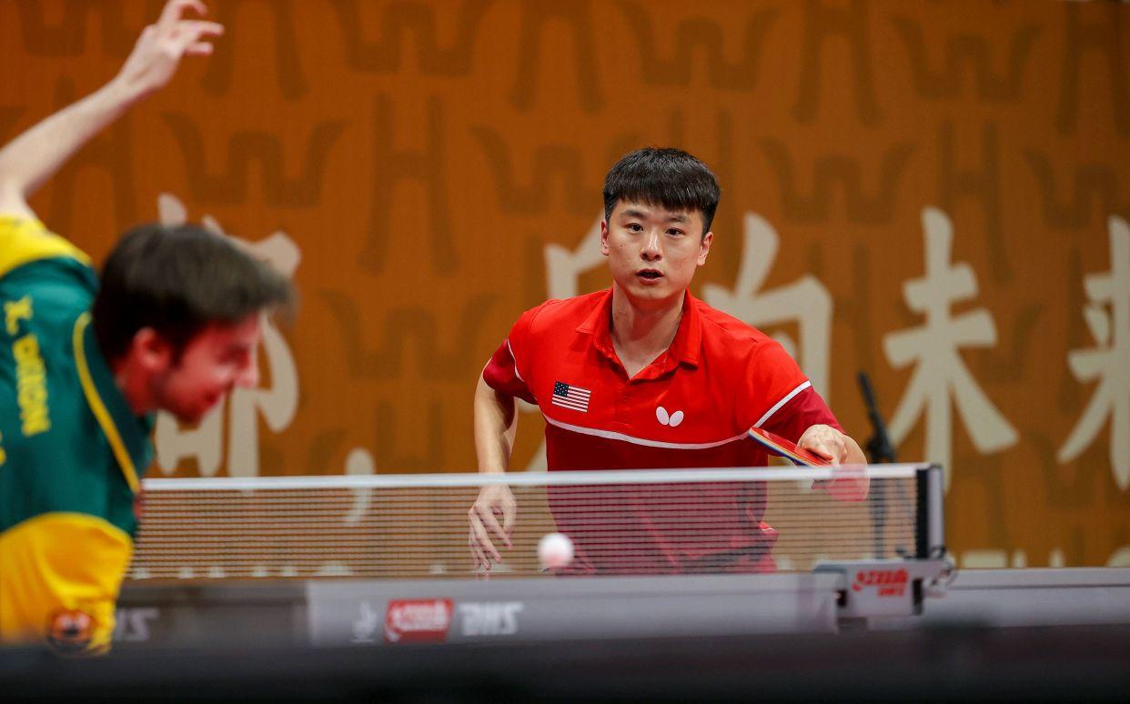 法国队完胜中国队，张本智和高光表现