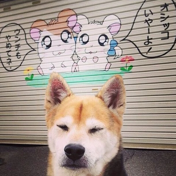 绿茵启示录，当新西兰打穿阿森纳，拉什福德诠释巨星光芒