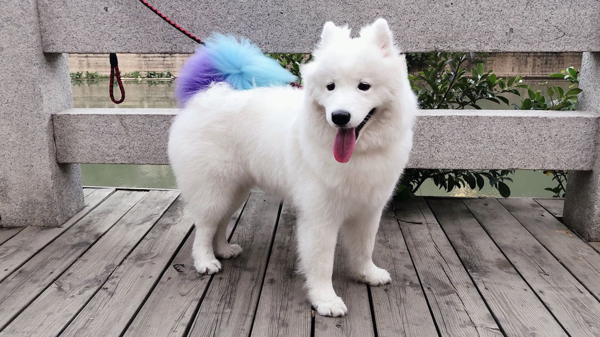 恩佐独造三球导演进攻风暴！里昂5-0狂胜玻利维亚改写历史