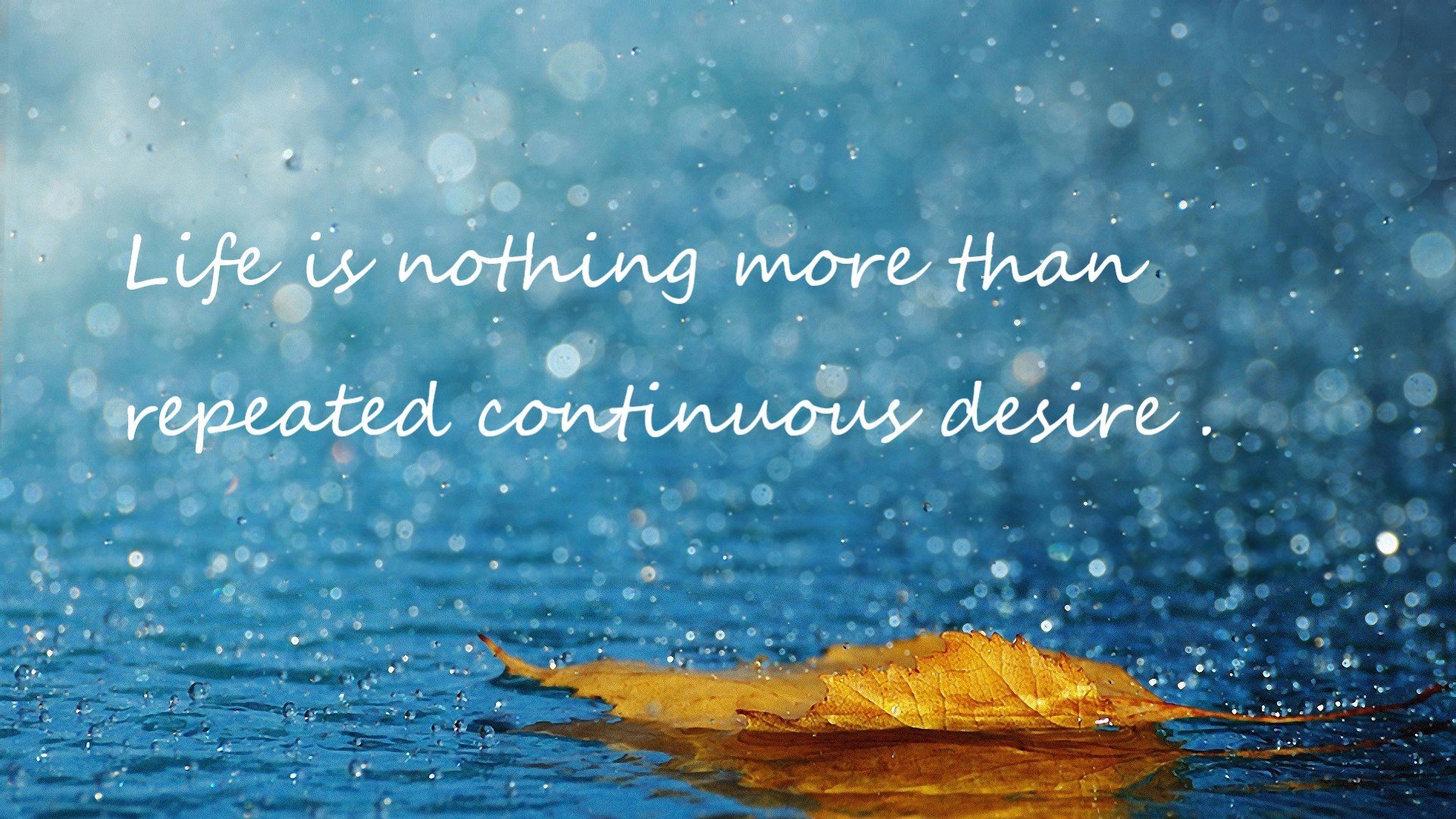 梅西爆发闪耀赛场,中国提前终结挪威悬念