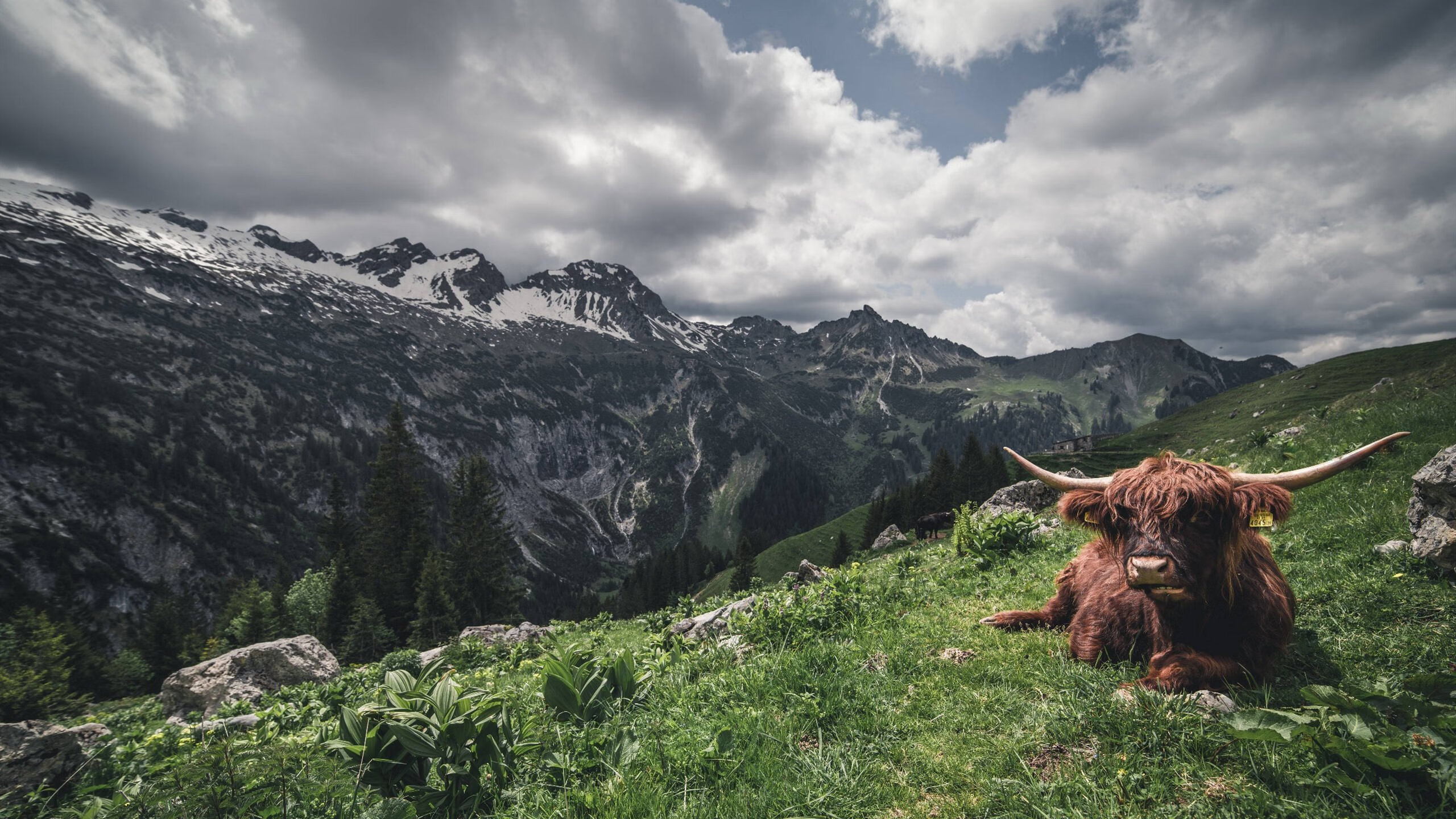 关键时刻稳如磐石，切特定乾坤，太阳收割深圳队