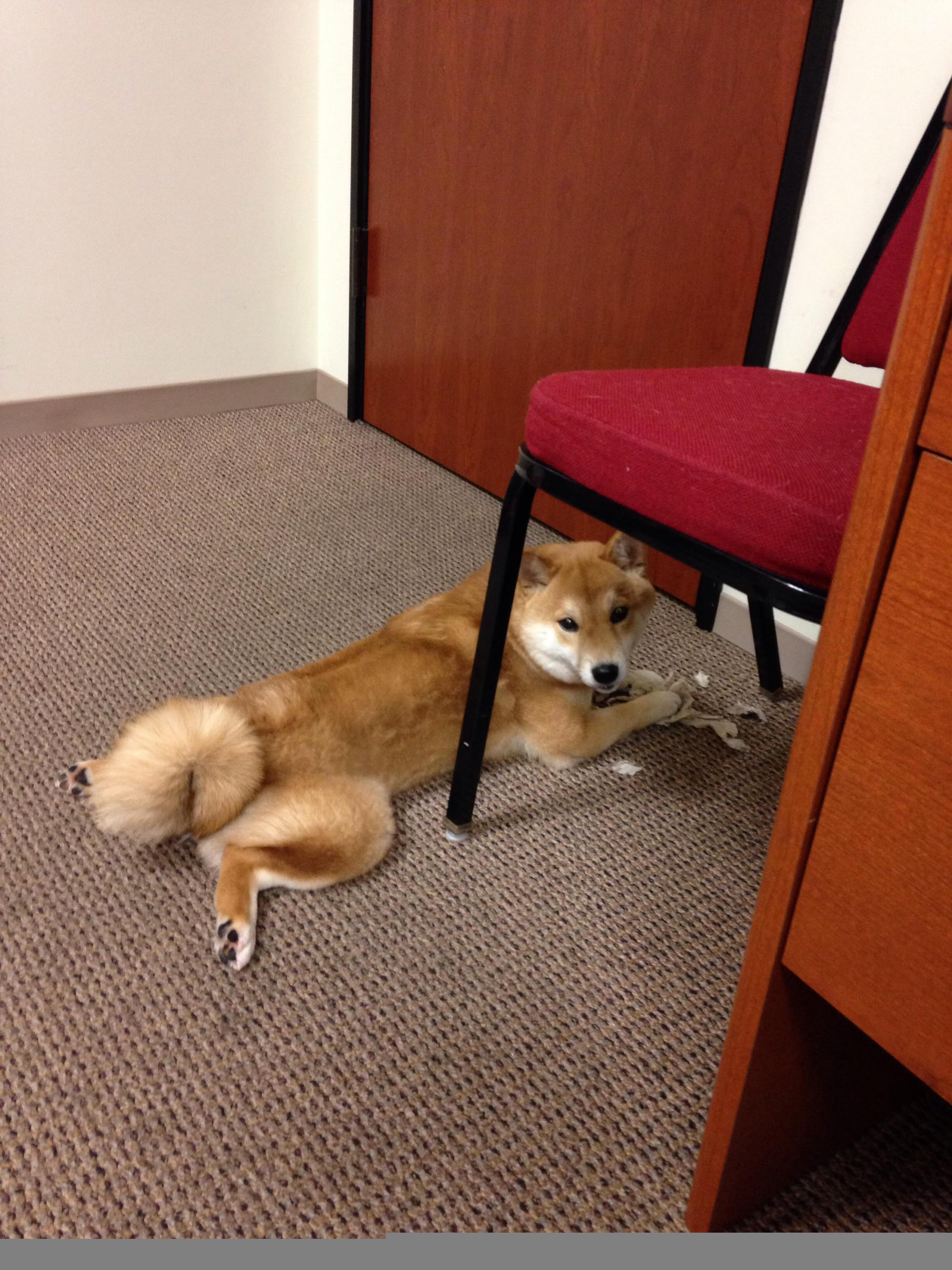 加时鏖战！贝蒂斯力克东亚劲旅，世界排名争夺战再燃欧陆烽烟