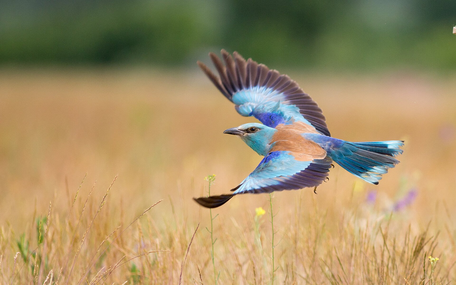孤胆英雄与钢铁丛林,东决关键战之夜的史诗战役