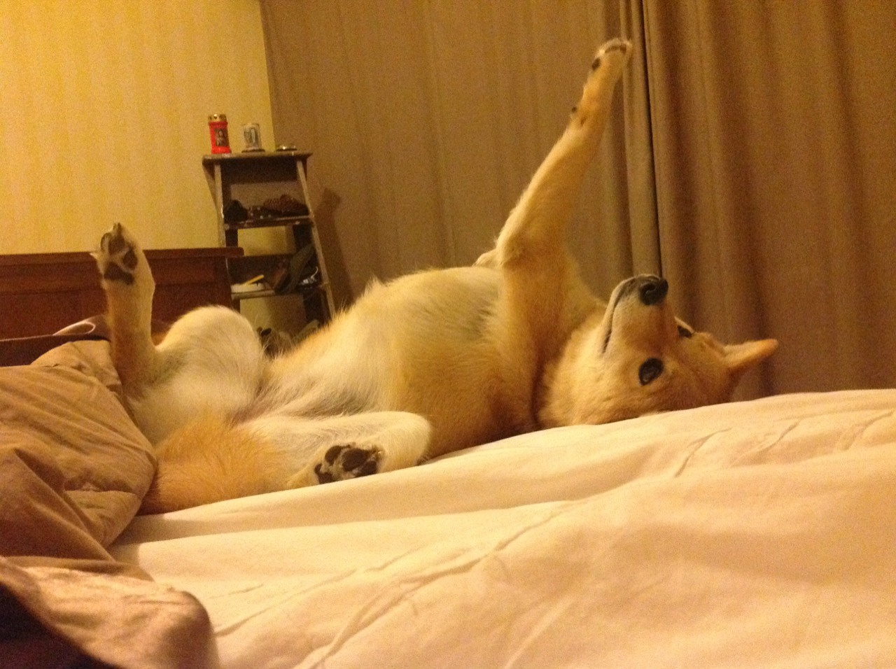 南美与欧洲的碰撞，巴拉圭对阵多特蒙德友谊赛，萨内持续制造杀伤成焦点