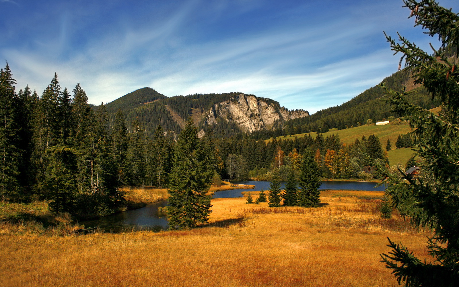 浓眉擎天劈裂华南虎，浙江绝境逆袭生死战