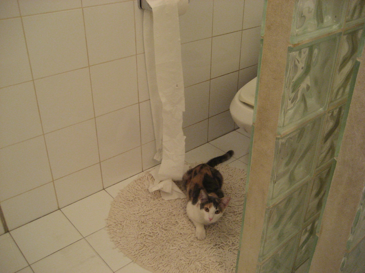 东方铁闸的绝对统治，富安健洋如何以一己之力冰封三狮军团锋线