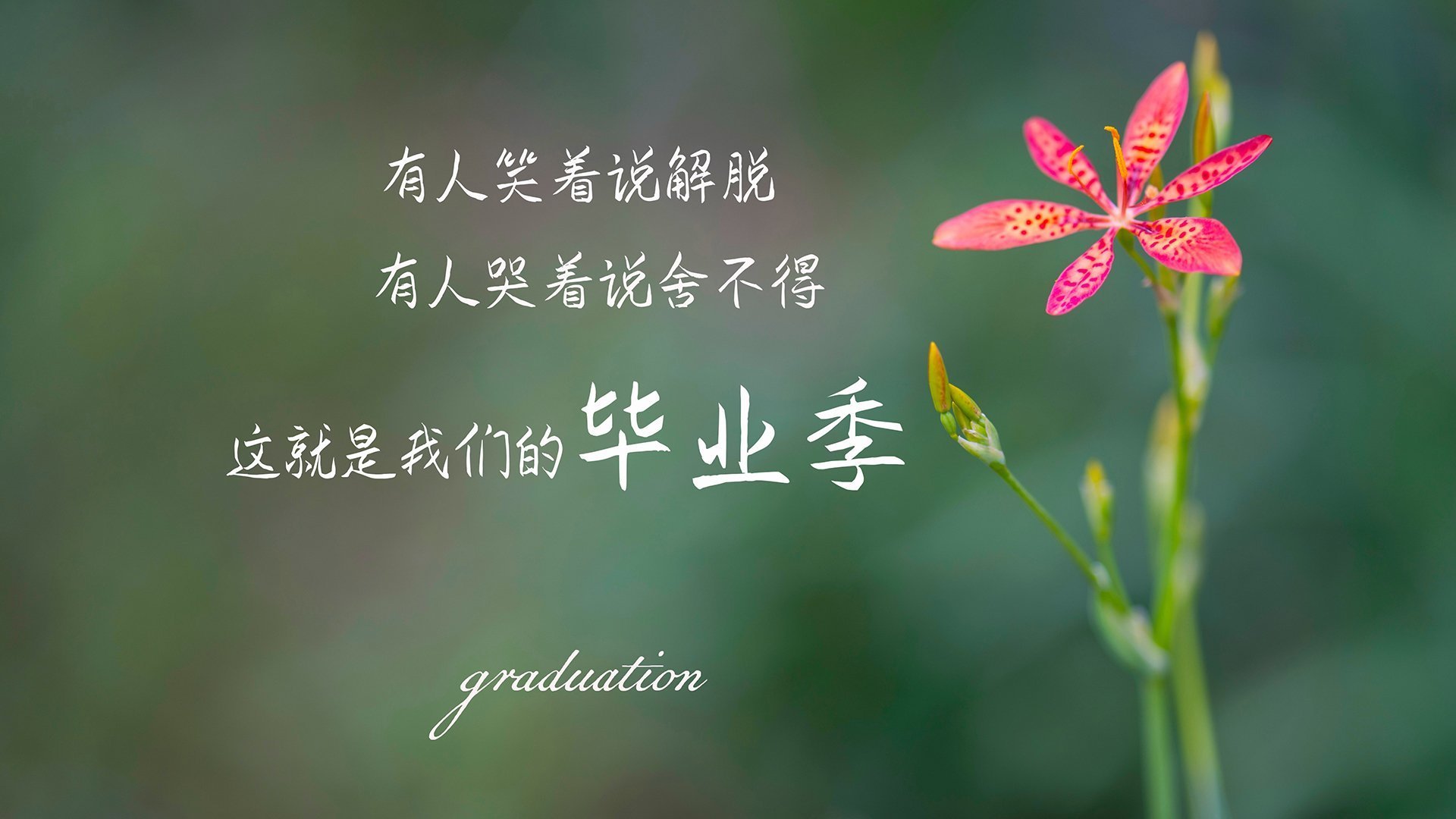 奥斯梅恩爆发难救主,乌拉圭惊险逆转突尼斯